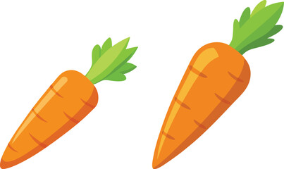 carrot vector illustration on white background 