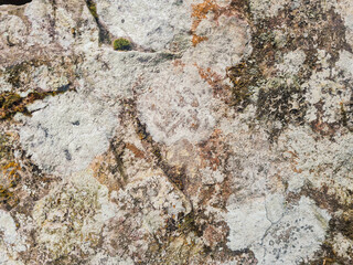 close up vief of detailed rock stone with some white mold stain, grunge textured pattern image.