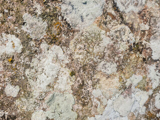 close up vief of detailed rock stone with some white mold stain, grunge textured pattern image.