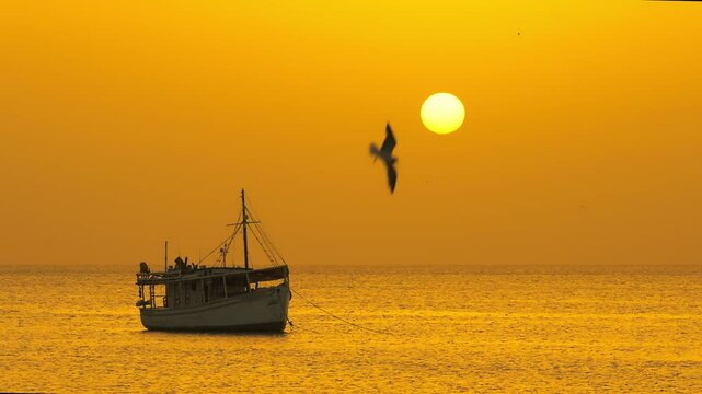 Fishing boats in Juan Griego Bay at sunset. Margarita Island, Nueva Esparta State. Venezuela