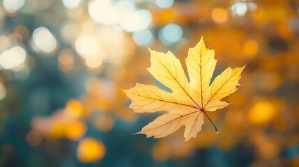 Fototapeta premium Close-up of a yellow autumn leaf. A bright orange tree changes with a blurred bokeh background. Golden colors in the park on a light, sunny, and warm October day. generative ai