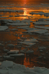 知床　流氷　夕日