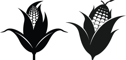 Corn  silhouette illustration white background 