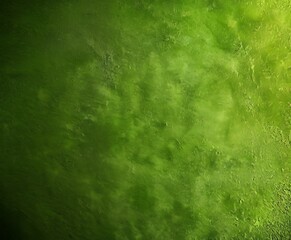 green wall with clock on it