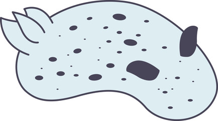 Jorunna Parva Nudibranch