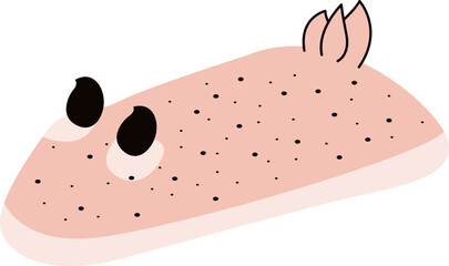 Jorunna Parva Nudibranch