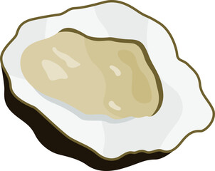 Fresh Oyster