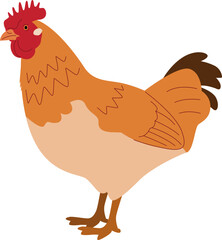 Hen