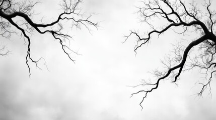 Fototapeta premium Winter's Grasp: Stark elegance of bare branches against a muted sky