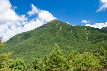 絶景の八子ヶ峰トレッキング　北八ヶ岳　蓼科山遠景　長野県　日本
