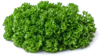 Fototapeta premium Fresh Parsley Sprigs.