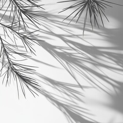 Obraz premium Abstract Black and White Palm Leaf Shadow Overlay for Mockup, Background, and Design.