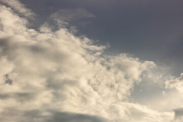 Fototapeta premium beautiful sky and clouds at sunset