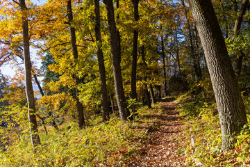 Obraz premium 日本の風景・秋 埼玉県長瀞町 紅葉の秩父長瀞 蓬莱島