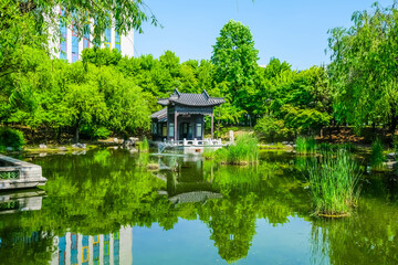 Fototapeta premium Serene Pond in a Garden: A Tranquil Nature Retreat