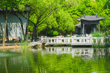 Fototapeta premium Serene Pond in a Garden: A Tranquil Nature Retreat