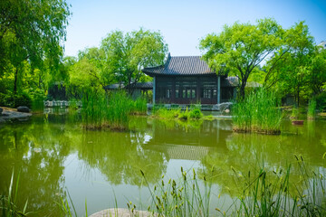 Obraz premium Serene Pond in a Garden: A Tranquil Nature Retreat