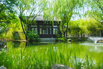 Obraz premium Serene Pond in a Garden: A Tranquil Nature Retreat