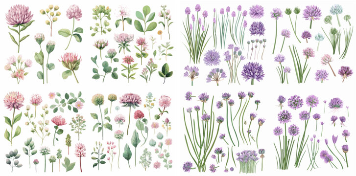 Four sets of flowers with different colors and sizes. The flowers are arranged in a way that they look like they are in a garden