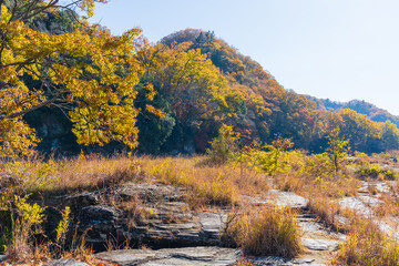 日本の風景・秋　埼玉県長瀞町　紅葉の秩父長瀞　岩畳