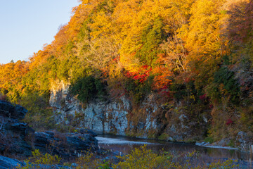 日本の風景・秋　埼玉県長瀞町　紅葉の秩父長瀞　岩畳