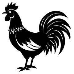 Rooster isolated vector silhouette illustration on a white background