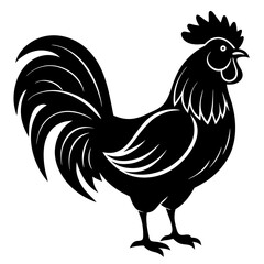 Rooster isolated vector silhouette illustration on a white background