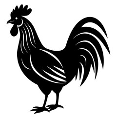 Rooster isolated vector silhouette illustration on a white background