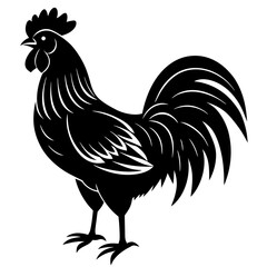 Rooster isolated vector silhouette illustration on a white background