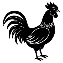 Rooster isolated vector silhouette illustration on a white background
