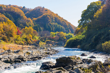 日本の風景・秋　埼玉県長瀞町　紅葉の秩父長瀞　小滝の瀬
