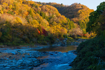 日本の風景・秋　埼玉県長瀞町　紅葉の秩父長瀞　小滝の瀬