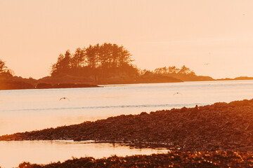 sunrise on the beach