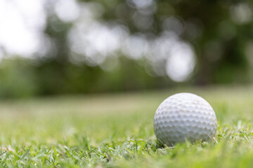 A golf ball is sitting on the grass
