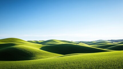 Rolling Hills Under a Clear Blue Sky