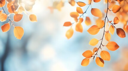 Obraz premium Abstract Autumn Nature Wallpaper: Blurred Leaves, Golden Foliage, Blue Sky Banner Template