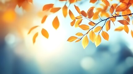 Obraz premium Autumn Branch Foliage: Sunlit Blurred Leaves on Blue Sky, Banner Template for Nature Design