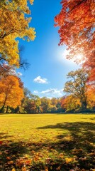 Autumn background