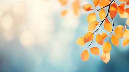 Obraz premium Abstract Autumn Nature Wallpaper: Blurred Leaves, Golden Foliage, Blue Sky Banner Template
