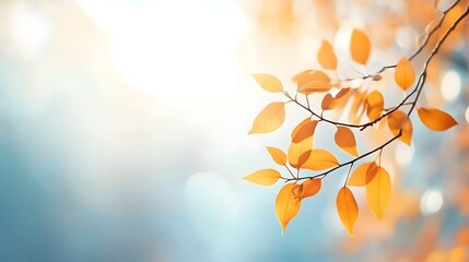 Autumn Branch Foliage: Sunlit Blurred Leaves on Blue Sky, Banner Template for Nature Design