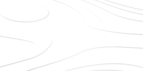 Abstract gray papercut style layers background design, Color geometric form. Wave paper cut. Map line of topography. Map mockup infographics.