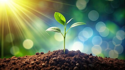 A delicate, illustrated seedling sprouts from the earth, its green stem and leaves reaching upward, symbolizing growth, renewal, and new beginnings in a whimsical vector graphic.
