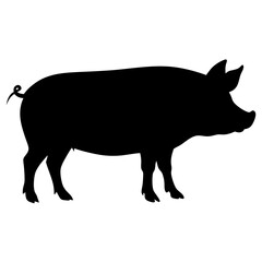 Pig graphic icon. Png black silhouette isolated on white background. Vector illustration graphic design