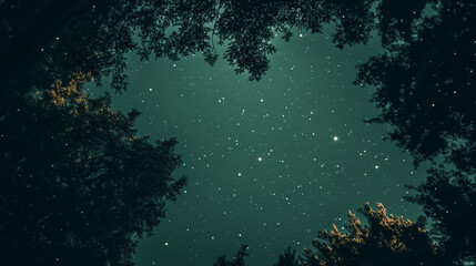 scene in the night sky, A green-toned night sky filled with twinkling stars, night time, green forest
