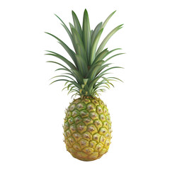 Obraz premium Pineapple fruit against transparent background 8K high detail