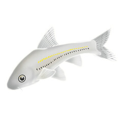 Elegant Fish Set - Endangered Species Illustration