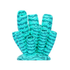 Teal Finger Coral 3D Illustration. 3D Icon
