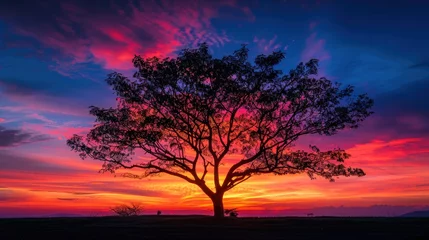 Tableau sur plexiglas  A tree silhouetted against a fiery sunset, its branches forming a stark contrast against the vibrant colors of the sky.  © Putt_Sanplee