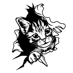 Cat on the Wall | Cat in a Cracked Wall | Peek a Boo | Curios Kitten | Cute Pet | Cute Kitten | Cat | Domestic Animal | Original Illustration | Vector and Clipart | Cutfile and Stencil