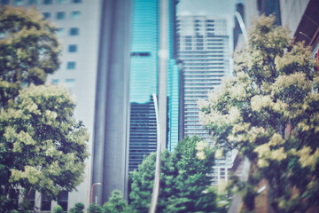 高層ビルの都市風景 © beeboys